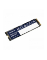 gigabyte Dysk SSD NVMe 1.4 Gen4 1TB M.2 2280 4000/3900MB/s - nr 2