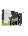 zotac Karta graficzna GeForce RTX 5060 LP 8GB GDDR7 128bit 2DP/HDMI - nr 1
