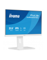 iiyama Monitor 22 cale XUB2293HSU-W7 IPS, 100Hz, Pivot, HAS(150mm), 300cd,   BIAŁY - nr 31