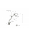 digitus Uchwyt ramię biurkowe pojedyncze z zaciskiem i sprężyną mechaniczną 1x LCD max. 49' 20kg, VESA: 75x75, 100x100, czarne - nr 4