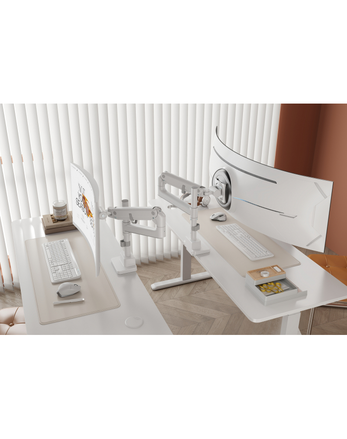 digitus Ramię biurkowe pojedyncze z zaciskiem i sprężyną gazową 1x LCD max. 57' 27kg, VESA: 75x75, 100x100, białe główny