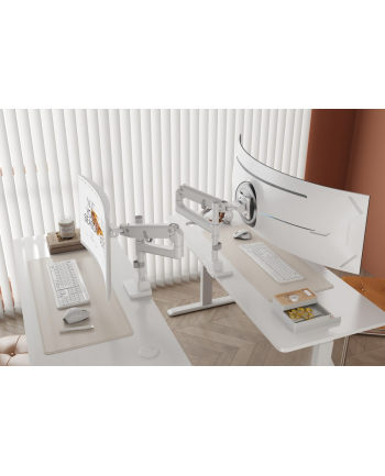 digitus Ramię biurkowe pojedyncze z zaciskiem i sprężyną gazową 1x LCD max. 57' 27kg, VESA: 75x75, 100x100, białe nr 2