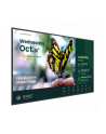 benq Monitor wielkoformatowy 55 '' ST5504  LED 4K/4500:1/ANDROID - nr 11