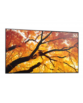 sharp Monitor wielkoformatowy MultiSync M502 50 '' 550cd/m2 24/7