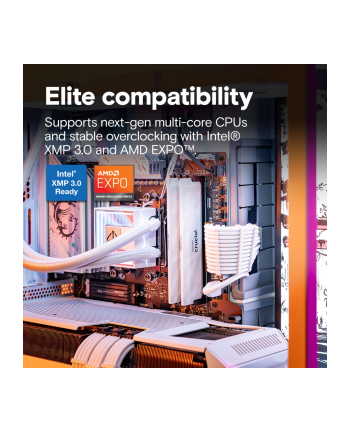 Pamięć DDR5 Crucial Pro OC 32/6400(2*16GB) CL32 White