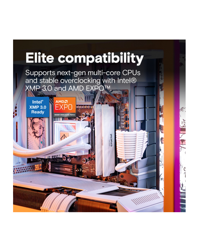 Pamięć DDR5 Crucial Pro OC 32/6400(2*16GB) CL32 White główny