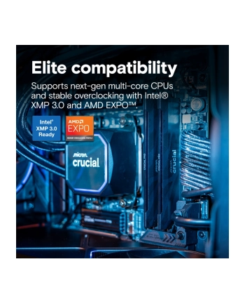 crucial Pamięć DDR5 Pro OC 32/6400(2*16GB) CL32
