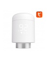 Avatto Inteligentna Głowica Termostatyczna TRV16 RC053975 - nr 1