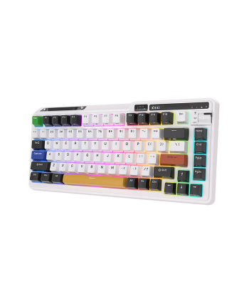Klawiatura Royal Kludge KZZI K75 pro RGB ETERNITY switch KZZI K75PRO nr 2