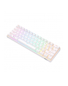 Klawiatura Royal Kludge Mechaniczna Rk61 Rgb Brown Switch (Biała) (58083) - nr 2
