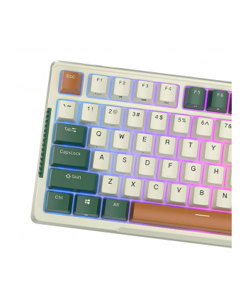 Klawiatura Royal Kludge RKH81 RGB Sky (RKH81SKYCYANGREEN) nr 2