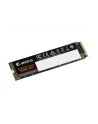 GIGABYTE AORUS Gen4 7000E SSD 1TB NVMe M.2 - nr 11