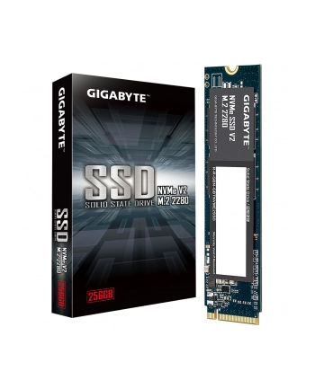 GIGABYTE SSD V2 256GB NVMe M.2