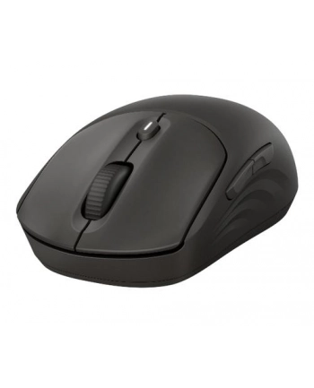 hp inc. HP 405 Quiet BLK Wireless Mouse EMEA INTL Euro plug (EN)