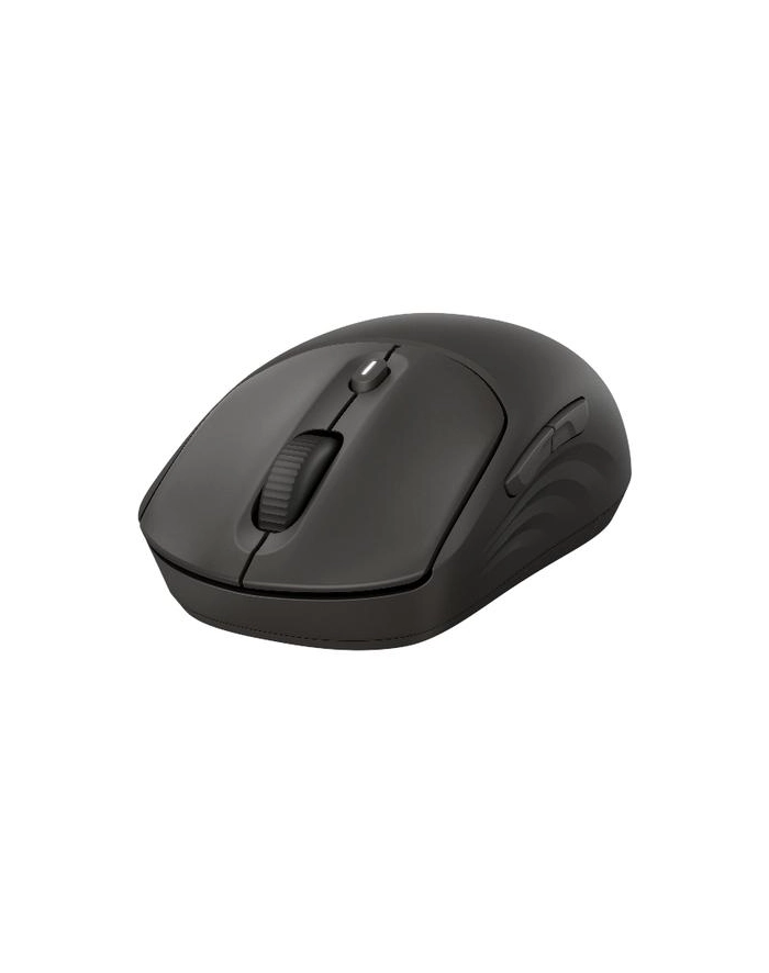 hp inc. HP 405 Quiet BLK Wireless Mouse EMEA INTL Euro plug (EN) główny