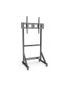 Techly Stojak Mobilny Tv 55-100” Do 120Kg Regulowany Półka Av (TLY_368741) - nr 2