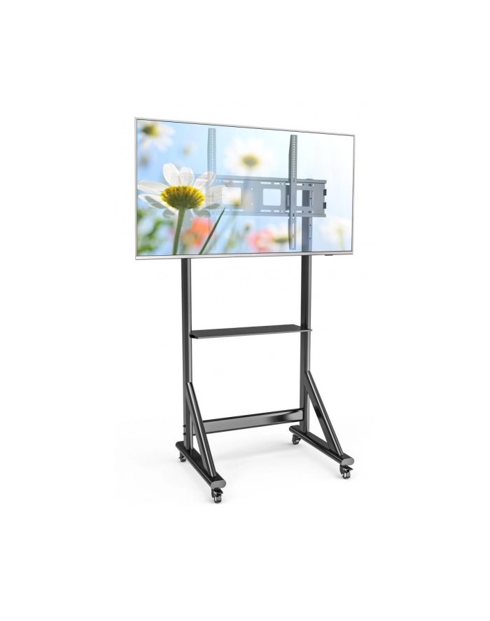 Techly Stojak Mobilny Tv 55-100” Do 120Kg Regulowany Półka Av (TLY_368741) główny