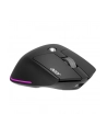 Acer Easy Fit (HPEXPBG021) - nr 13