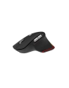 Acer Easy Fit (HPEXPBG021) - nr 16