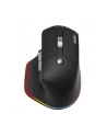 Acer Easy Fit (HPEXPBG021) - nr 18