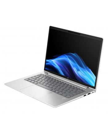 Notebook HP ProBook 4 G1i 14 14''WUXGA/Ultra 5 225U/16GB/SSD512GB/Intel/11PR Pike Silver 3Y