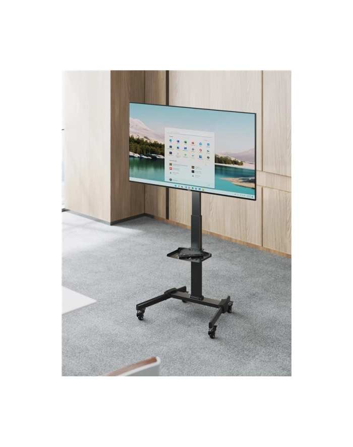 Goobay Stojak Do Prezentacji Tv Basic (Rozmiar L) 59507 (BASICCARTL) główny