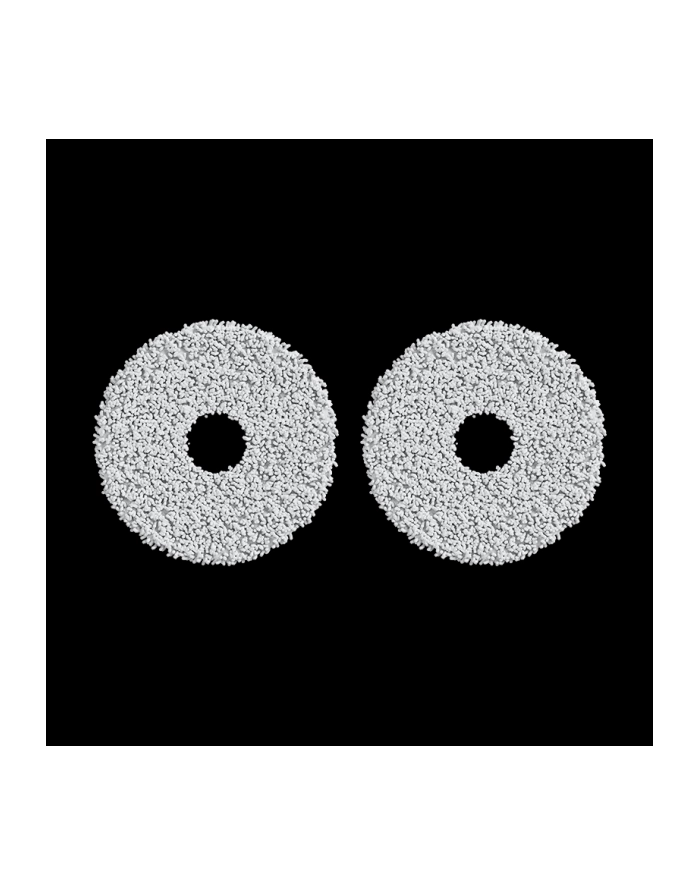 Xiaomi Robot Vacuum Mop Pads do X10+/X20+ (BHR8510GL) główny