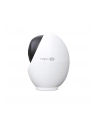 tp-link systems inc. Kamera IP TP-Link Tapo C260(4.3mm) 4K UHD 8MP - nr 10