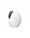 tp-link systems inc. Kamera IP TP-Link Tapo C260(4.3mm) 4K UHD 8MP - nr 21