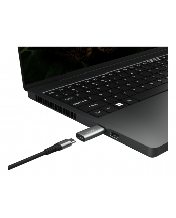 trust Adapter Calyx USB-C do USB-A dwupak szary