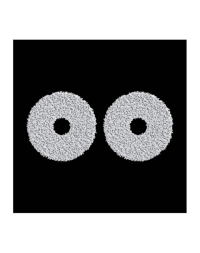 Xiaomi Robot Vacuum Mop Pads do X10+/X20+ (BHR8510GL) główny