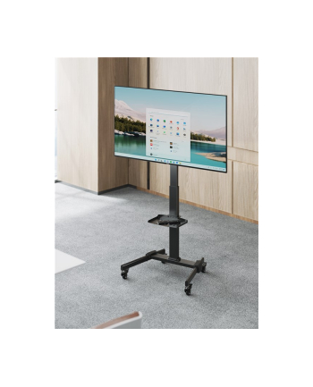 Goobay Stojak Do Prezentacji Tv Basic (Rozmiar L) 59507 (BASICCARTL)