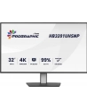 iiyama Monitor 31.5 cala ProGraphic HB3201UHSNP-B1 4K,IPS BLACK 2.0,450cd,VESA USB-c dock(PD:96W),HDMI,DP,DAISY/CHAIN,4xUSB,RJ45,3000:1,sRGB:100%,DCI-P3:99%, - nr 33