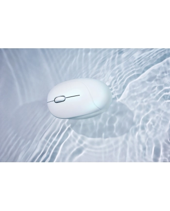 Asus Fragrance MD101 Biały (90XB08U0BMU000)