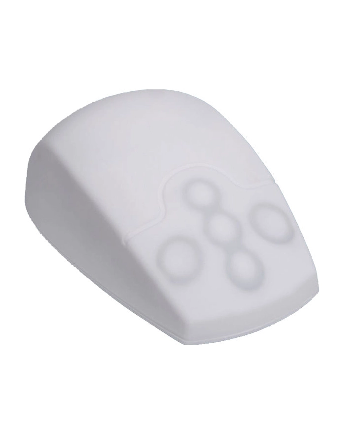 Inca Active Key AK-PMT2 (AKPMT2LBUSW) główny