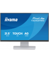iiyama Monitor 22 cale T2252MSC-W2AG 10 PKT. POJ,IPS,HDMI,DP,2x1W,7H,2xUSB,  AG-(Anti Glare) - nr 30