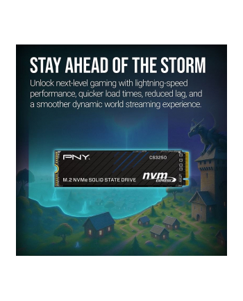 pny Dysk SSD 1TB M.2 2280 PCi5.0 M280CS3250-1TB-TB