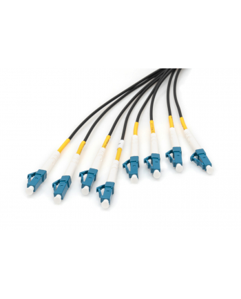 Digitus Zakończony fabrycznie uniwersalny kabel światłowodowy typu breakout, wielomodowy OS2, 8 włókien, LC/UPC (DK2A338U100BKBBB)