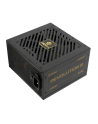 Enermax Power Supply 1000W Revolution3 80+ Gold Black FULLMO (ERV1000GAHGMAC) - nr 7