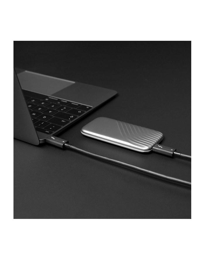 Lindy 31121 kabel Thunderbolt 2 m 40 Gbit/s Czarny główny