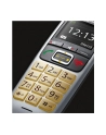 Gigaset E560 platin - nr 15