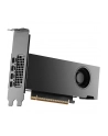 Pny Quadro RTX PRO 2000 Blackwell 16GB GDDR6 4xmDP (VCNRTXPRO2000SB) - nr 16