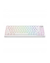 savio Klawiatura magnetyczna ASTRAL White OUTEMU White jade RGB - nr 10