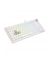 savio Klawiatura magnetyczna ASTRAL White OUTEMU White jade RGB - nr 11