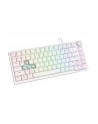 savio Klawiatura magnetyczna ASTRAL White OUTEMU White jade RGB - nr 12