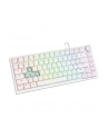 savio Klawiatura magnetyczna ASTRAL White OUTEMU White jade RGB - nr 20