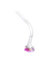 Immax Lampa Stołowa Corella, 7W (681439) - nr 5