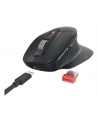 Cherry Stream (JW85702) - nr 16
