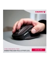 Cherry Stream (JW85702) - nr 31