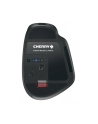 Cherry Stream (JW85702) - nr 39